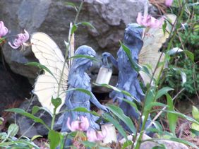 Display Gardens